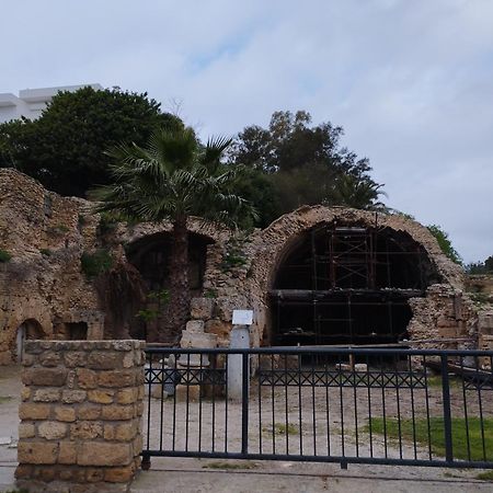 Appartement A Carthage Byrsa Exterior foto