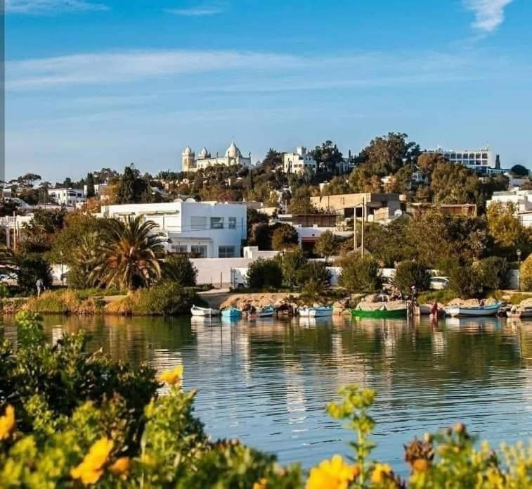 Appartement A Carthage Byrsa Exterior foto