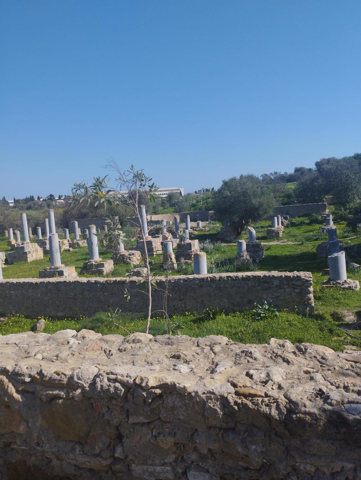 Appartement A Carthage Byrsa Exterior foto